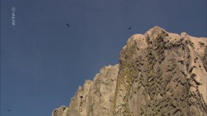 360 Geo - Sur les ailes du condor des Andes