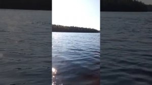 YAMAHA 5 л.с Ямаха 5л.с ПВХ 3.40