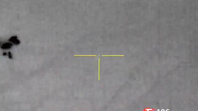 Ночная охота на шакала. Пришла пара, не стал их разлучать, обоих отправил в мир вечной охоты. смотреть онлайн