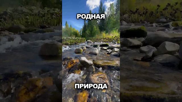 Родная природа. Урал река Косьва