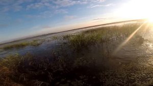 Открытие Охоты на утку В Хабаровском крае 2015.