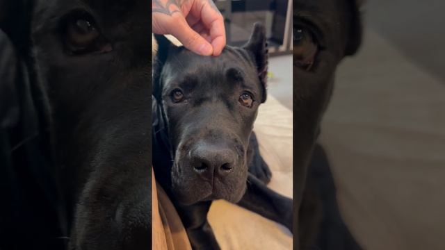 7 июля 2023 г. смотреть онлайн