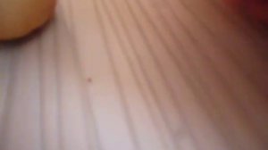 АВОКАДО,РАЗМНОЖЕНИЕ,