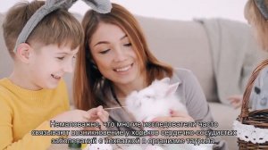 Чем лучше кормить хорька: натуральная пища или готовые рационы?