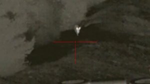 Термален Прицел PULSAR THERMION 2 XQ50 & IRAY RICO RH50 LRF