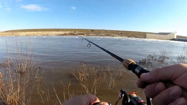 Рыбалка в Канаде.Локпорт,Манитоба.Рыба кишит!!!Lockport,Manitoba Walleye Fishing.