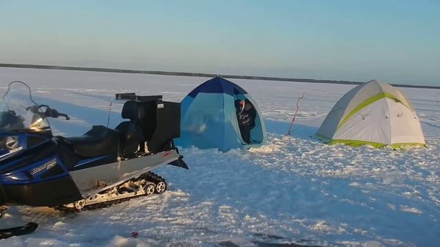 Коты на рыбалке смотреть онлайн