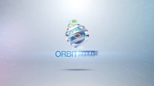 Logo Animations For Orbit Seed Private Limited