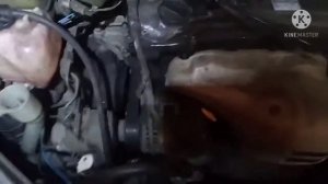 замена ремня на Тайоте опа
