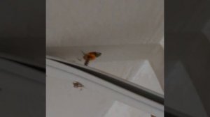 КАК ДОПОЛНИТЕЛЬНО ЗАКРЕПИТЬ ПРОФИЛЬ НАТЯЖНОГО ПОТОЛКА, ПРИ СЛАБОЙ СТЕНЕ.