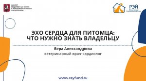 ЭХО сердца для питомца: что нужно знать владельцу