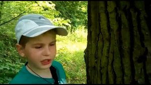 Удачная находка! Жук "Олень"!