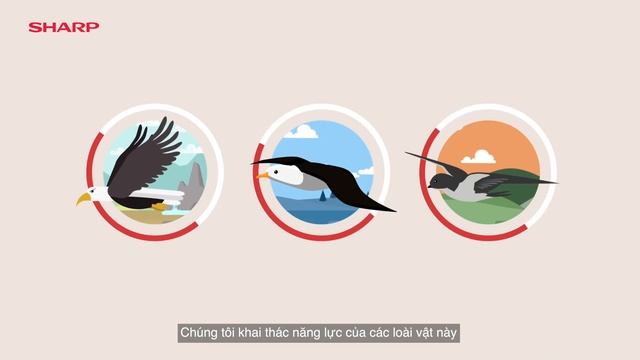 Sharp Biomimetic - Chuẩn theo tự nhiên смотреть онлайн