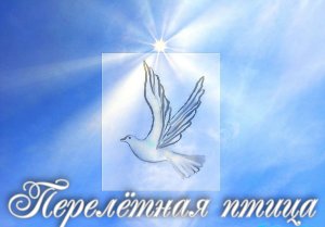 Перелётная птица.