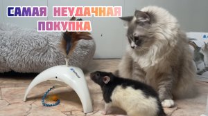 Интерактивная игрушка от GIGVI ?