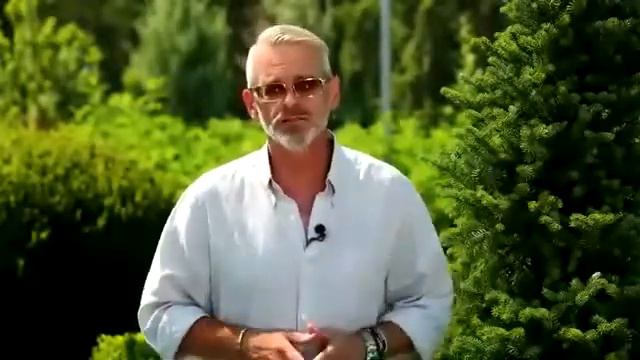 Хвойные растения для вашего сада. Особенности. Игорь Билевич смотреть онлайн