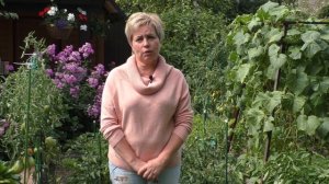 КАК ПРАВИЛЬНО УХАЖИВАТЬ ЗА КЛУБНИКОЙ ОСЕНЬЮ, ЧТОБЫ В БУДУЩЕМ ПОЛУЧИТЬ ШИКАРНЫЙ УРОЖАЙ!