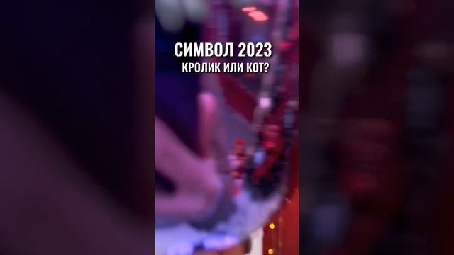 СИМВОЛ 2023 ГОДА? КОТ ИЛИ КРОЛИК? ?? какая атмосфера будет в новом году