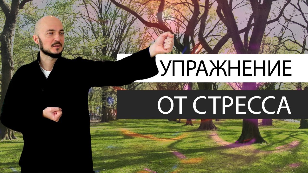 Практика "МЕЧ РУБИТ ДЕРЕВО" Простое упражнение от стресса и напряжения. К.Перо Академия Целителей
