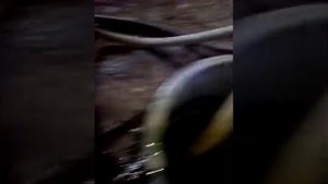 Запуск Вебасто bw 50 без таймера