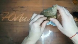 Ёлочка-домик из шишек // Сказочный новогодний домик в ёлке  // поделки своими руками/