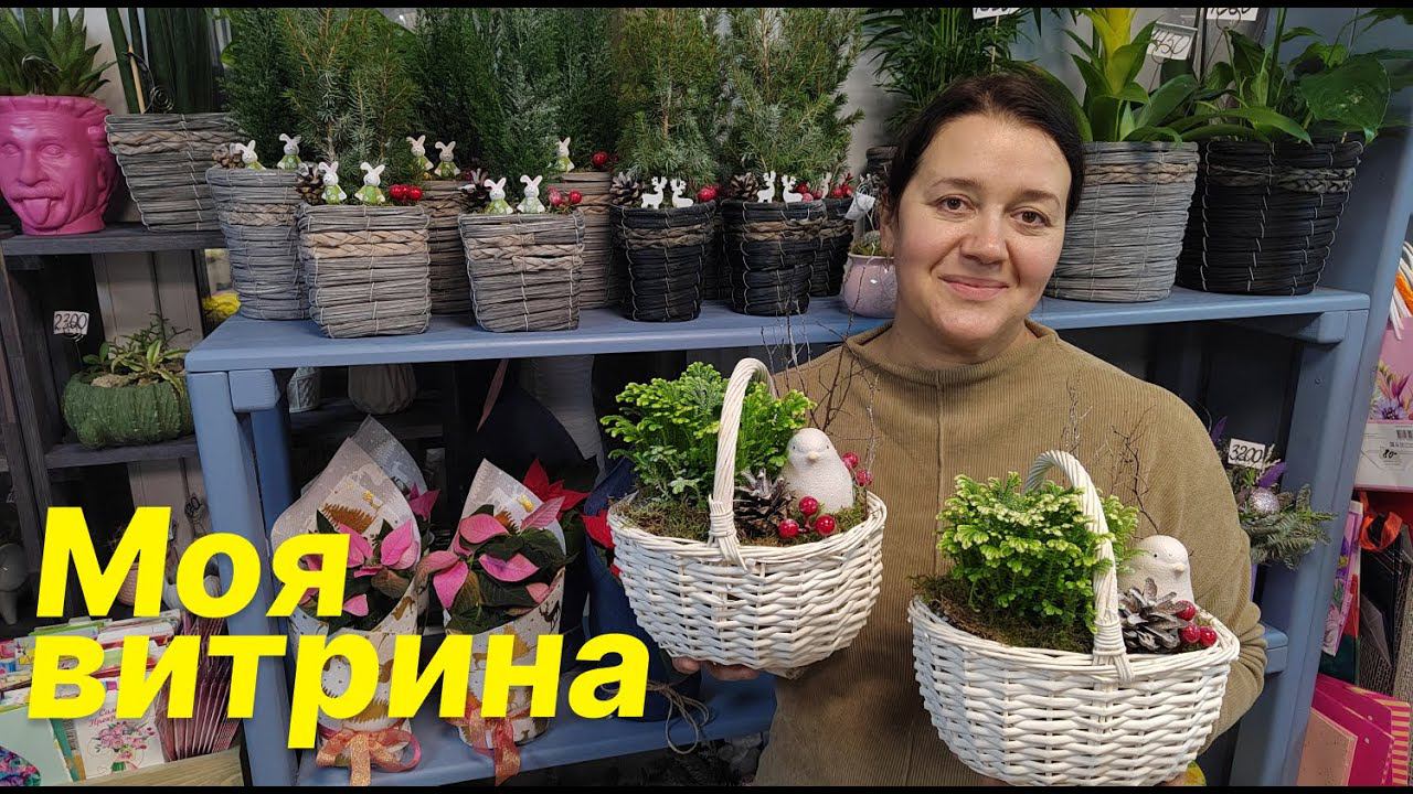 Подарочное оформление цветов в горшках к новому году
