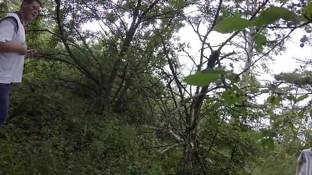 Путешествие. Балановское водохранилище...