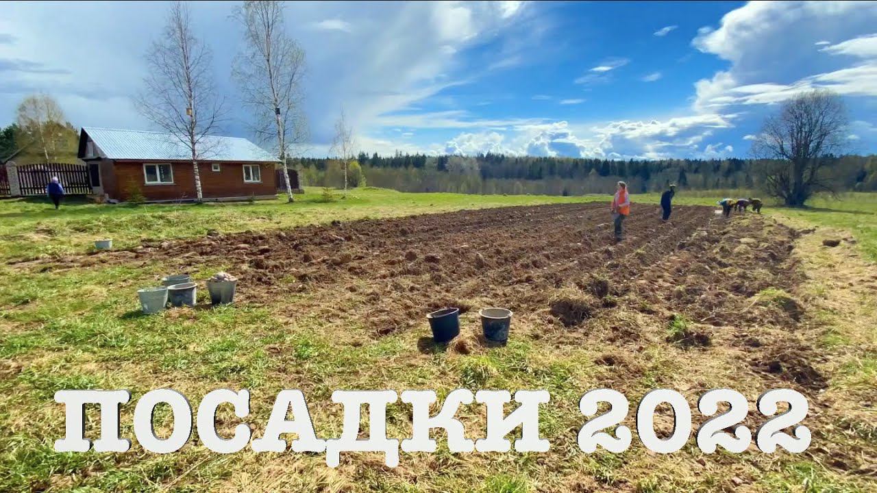 #97. Пропали! Исправляемся!:) Обзор посадок. [Жизнь на своей земле] смотреть онлайн