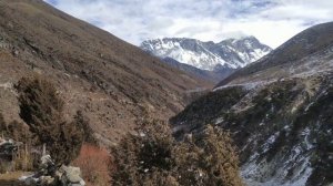 Портеры в Непале