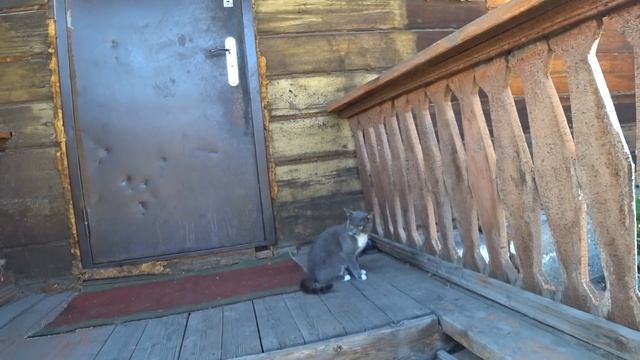 Обед в ограде Тувинской тушёнкой степная говядина смотреть онлайн