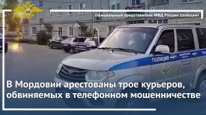 В Мордовии арестованы трое курьеров, обвиняемых в телефонном мошенничестве