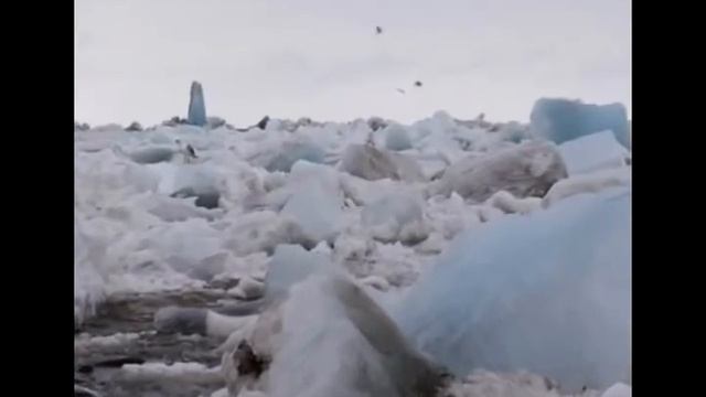 Могуч батюшка Енисей.flv смотреть онлайн