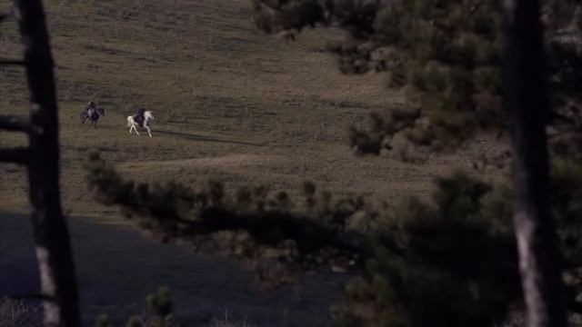 So'ngi qirollik 2022 kino uzbek tilida | Сонги кироллик 2022 кино узбек тилида смотреть онлайн