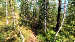 BSE z2 лучший мотоцикл для новичка в эндуро?