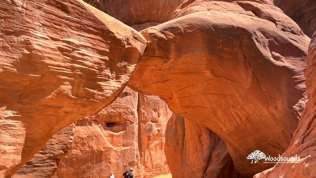 "Gift" A Brazilian Rosewood Burl Native flute in the key of Am... смотреть онлайн