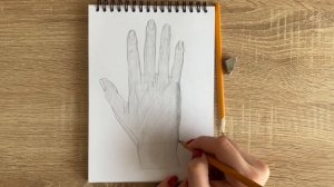 Как нарисовать руку девушки карандашом | Рисунок для начинающих поэтапно