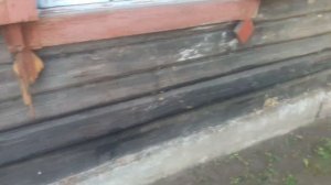 Ремонт фундамента, замена венцов сруба. Реконструкция старого дома ч.1