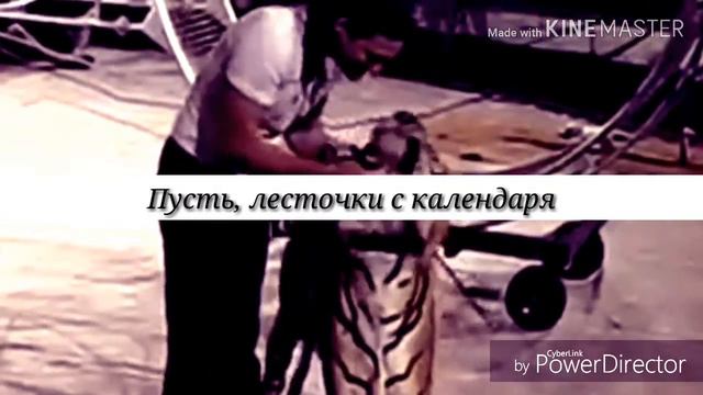 #БратьяЗапашные ||Я могу тебя очень ждать... || смотреть онлайн