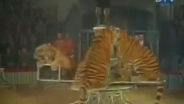 Маргарита Назарова смотреть онлайн