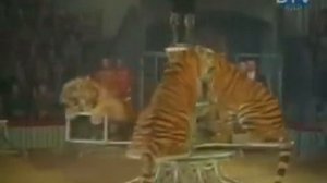 Маргарита Назарова