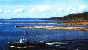 Усть Илимск