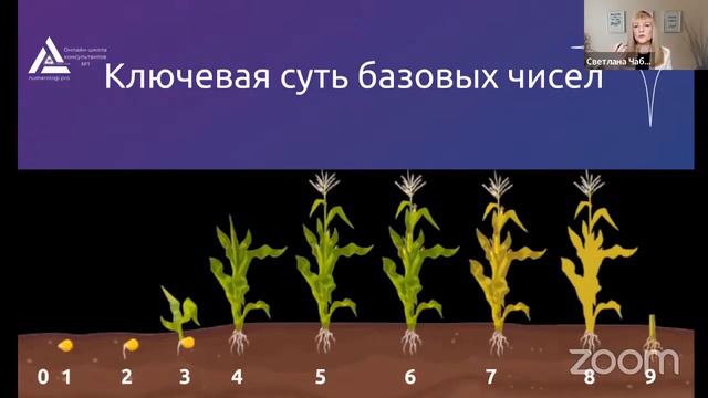 Урок 2.1  Базовые числа