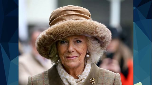 Какие изменения ждут королевскую семью Британии в 2019 году смотреть онлайн