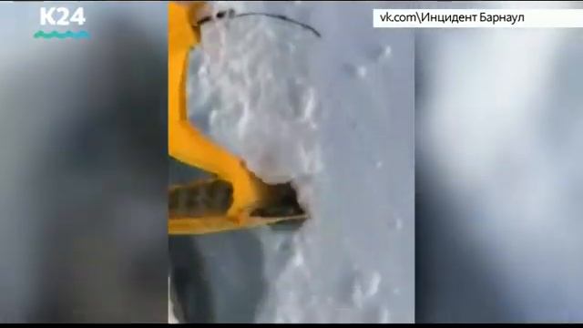 Стали известны подробности следствия по делу мужчины, задавившего снегоходом волка смотреть онлайн