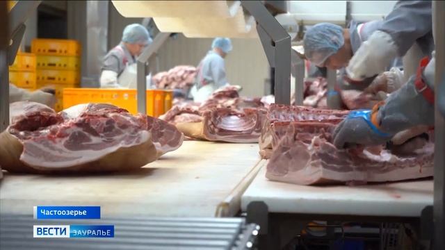 Курганцам рассказали, как долго может храниться охлажденное мясо смотреть онлайн