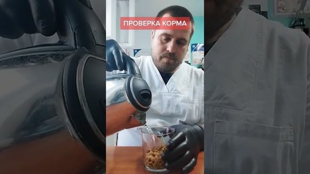 Как проверить корм для животных на качество!