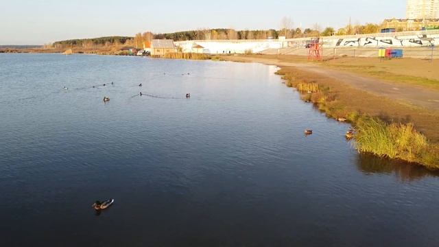 Уменьшить УСН в 6 раз. /законный способ сократить расходы на налоги/ смотреть онлайн