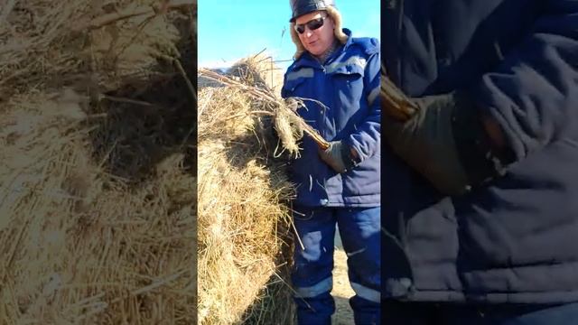 #Баженит в глубоком ШОКе остался без работы на Ютубе смеюсь смотреть онлайн