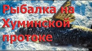 Зимняя рыбалка на Хуминской протоке