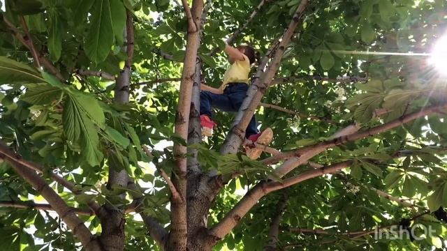 Лезу на высокое дерево! Соня Маша старс смотреть онлайн